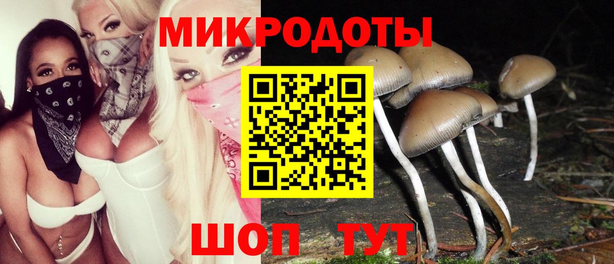 Псилоцибиновые грибы GOLDEN TEACHER  Вход с VPN  продажа наркотиков  Асбест 